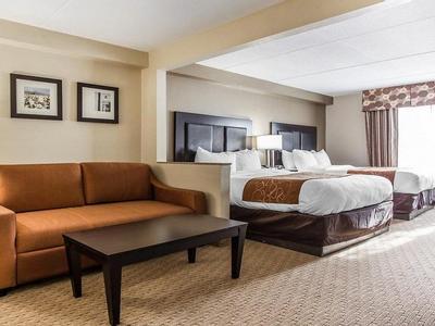 Hotel Comfort Suites Morrow- Atlanta South - Bild 2