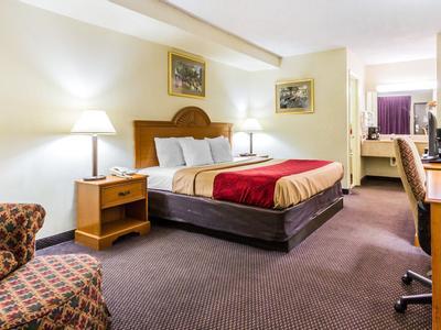 Hotel Econo Lodge & Suites - Bild 5