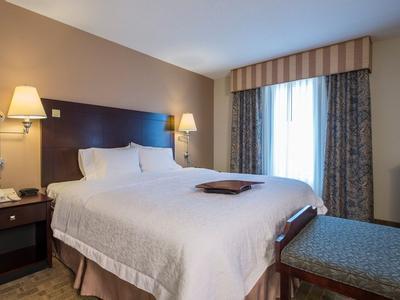 Hotel Hampton Inn & Suites Atlanta Airport West/Camp Creek Pkwy - Bild 2