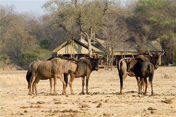 Hotel Plains Camp @ Rhino Walking Safaris - Bild 5