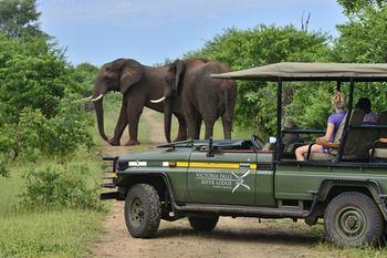 Hotel Victoria Falls River Lodge - Bild 5