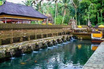 Hotel The Kampung Resort Ubud - Bild 2