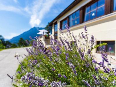 Hotel Panorama Berggasthof - Bild 5