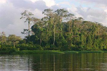 Hotel Cabinas Icaco Tortuguero - Bild 5