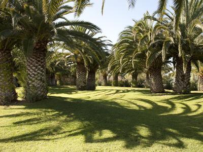 Hotel Ostuni a Mare - Bild 5