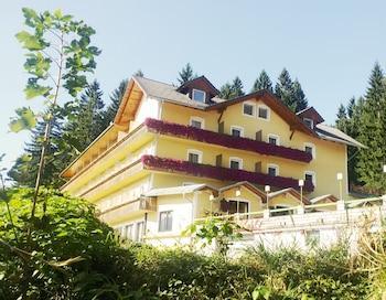 Hotel Bergwirt - Bild 1