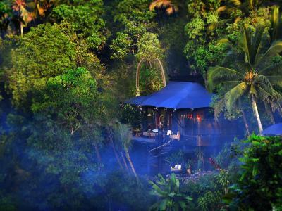 Hotel Capella Ubud - Bild 2