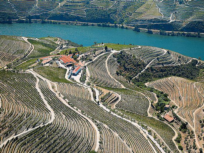 Hotel Quinta Nova de Nossa Senhora do Carmo - Winery House - Bild 1