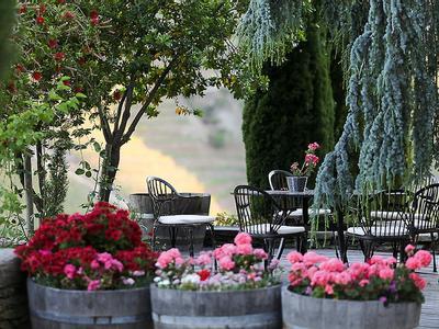 Hotel Quinta Nova de Nossa Senhora do Carmo - Winery House - Bild 5