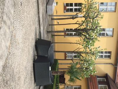 Hotel Vierseithof - Bild 2