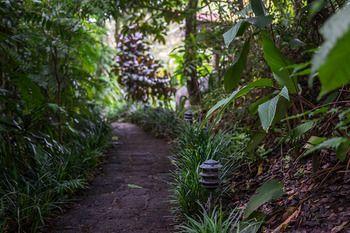 Hotel Finca Rosa Blanca Coffee Plantation Resort - Bild 5