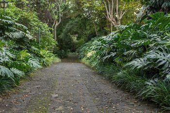 Hotel Finca Rosa Blanca Coffee Plantation Resort - Bild 4