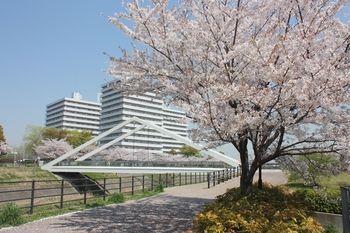 Yokohama Prince Hotel - Bild 5