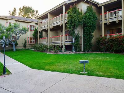 Hotel Comfort Inn Monterey Peninsula Airport - Bild 3