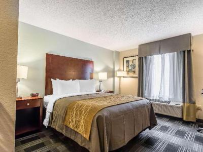 Hotel Comfort Inn SW Omaha I-80 - Bild 4