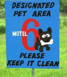 Hotel Motel 6 Huntsville - Bild 3