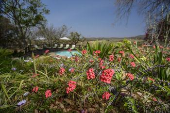 Hotel Abangane Guest Lodge - Bild 3