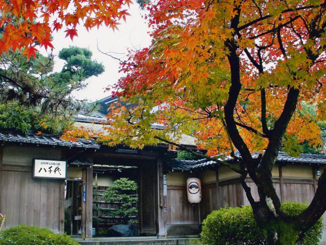 Hotel Kyoto Garden Ryokan Yachiyo - Bild 1