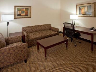 Holiday Inn Express Hotel & Suites Austin South-Buda - Bild 3