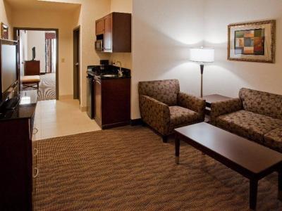 Holiday Inn Express Hotel & Suites Austin South-Buda - Bild 2