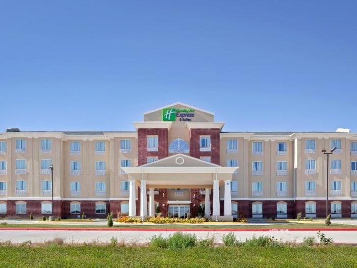 Holiday Inn Express Hotel & Suites Dumas - Bild 1