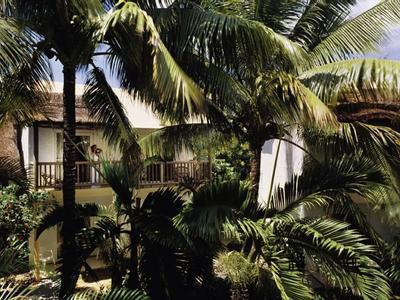 Cocotiers Hotel - Mauritius - Bild 3