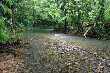 Hotel Heritage Lodge in the Daintree - Bild 4