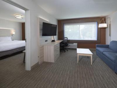 Hotel Holiday Inn Express & Suites La Porte - Bild 4