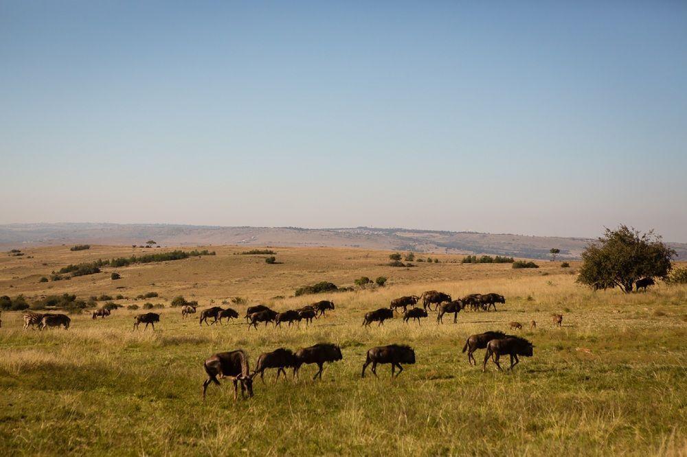 Hotel Sibani Lodge - Bild 1