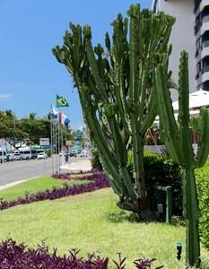 Hotel Ponta Verde Maceio - Bild 5