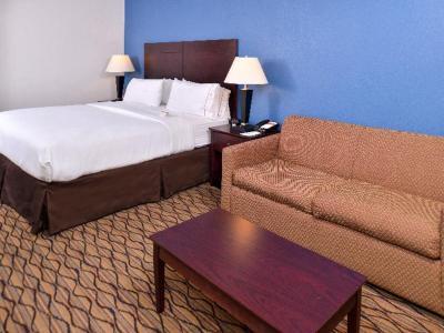 Hotel Holiday Inn Express & Suites Central Omaha - Bild 5