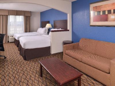 Hotel Holiday Inn Express & Suites Central Omaha - Bild 4