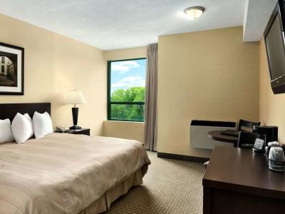 Hotel Days Inn by Wyndham Niagara Falls Lundys Lane - Bild 4