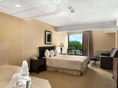 Hotel Days Inn by Wyndham Niagara Falls Lundys Lane - Bild 3
