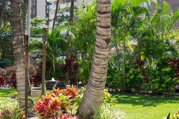 Hotel Courtyard Waikiki Beach - Bild 5