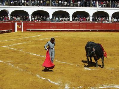 Hotel Plaza de Toros - Bild 3