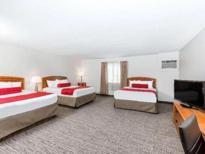 Hotel Wyndham Garden Ankeny/Des Moines - Bild 4