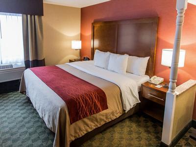 Hotel Comfort Inn & Suites - Bild 4