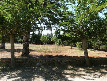 Hotel Finca Agroturismo Es Palmer - Bild 3