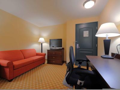 Hotel Country Inn & Suites by Radisson, Savannah Airport, GA - Bild 3