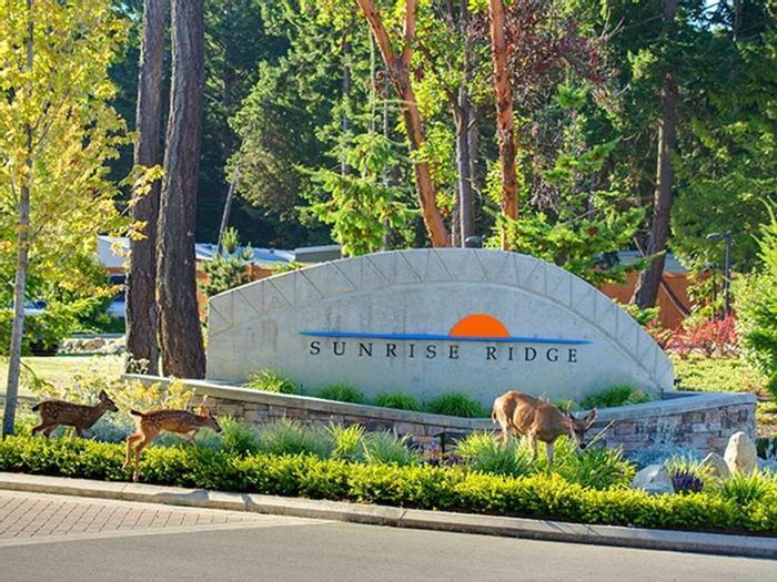 Hotel Sunrise Ridge Waterfront Resort - Bild 1
