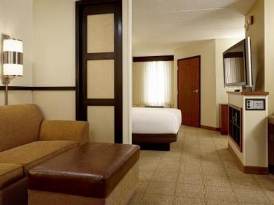 Hotel SpringHill Suites by Marriott Atlanta Perimeter Center - Bild 2