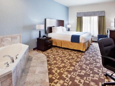 Hotel Holiday Inn Express & Suites Atlanta Airport West - Camp Creek - Bild 4