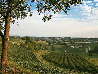 Hotel Fattoria La Quercia Rossa - Bild 2