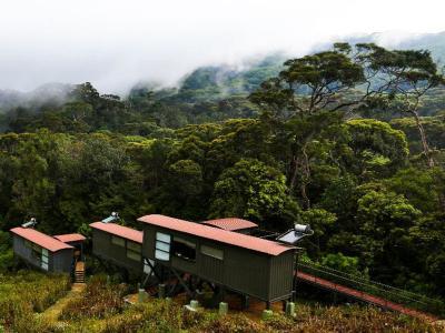 Hotel The Rainforest Ecolodge - Bild 2