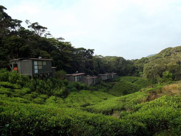 Hotel The Rainforest Ecolodge - Bild 1