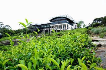 Hotel The Rainforest Ecolodge - Bild 5