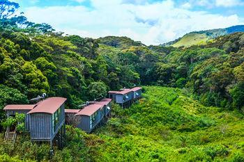 Hotel The Rainforest Ecolodge - Bild 4