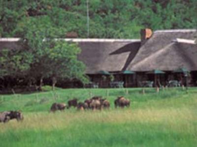 Hotel Bakubung Bush Lodge - Bild 3