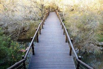 Hotel Madikwe River Lodge - Bild 4